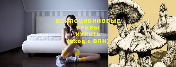 трава Михайловка