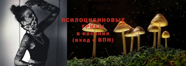 трава Михайловка