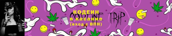 амф Кострома