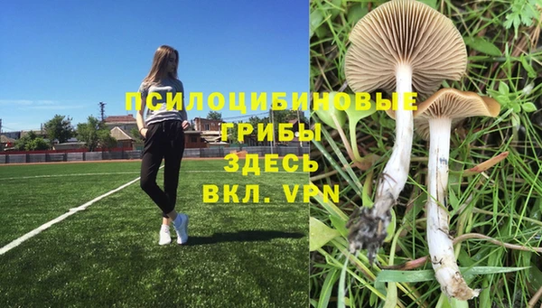трава Михайловка