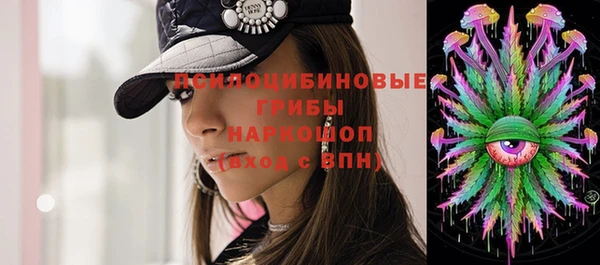 молекула духа Михайлов