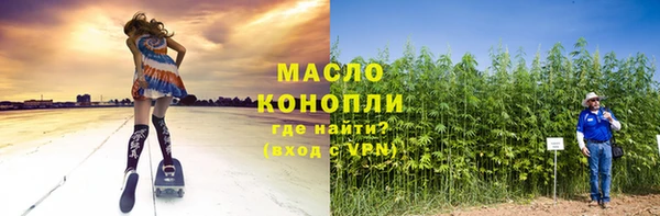 молекула духа Михайлов
