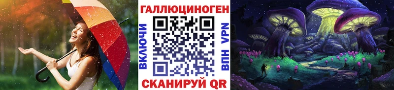 Псилоцибиновые грибы Psilocybe Серпухов