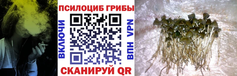 Псилоцибиновые грибы ЛСД  Серпухов 